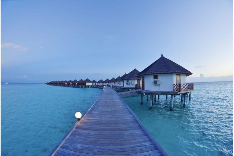 SAFARI ISLAND RESORT