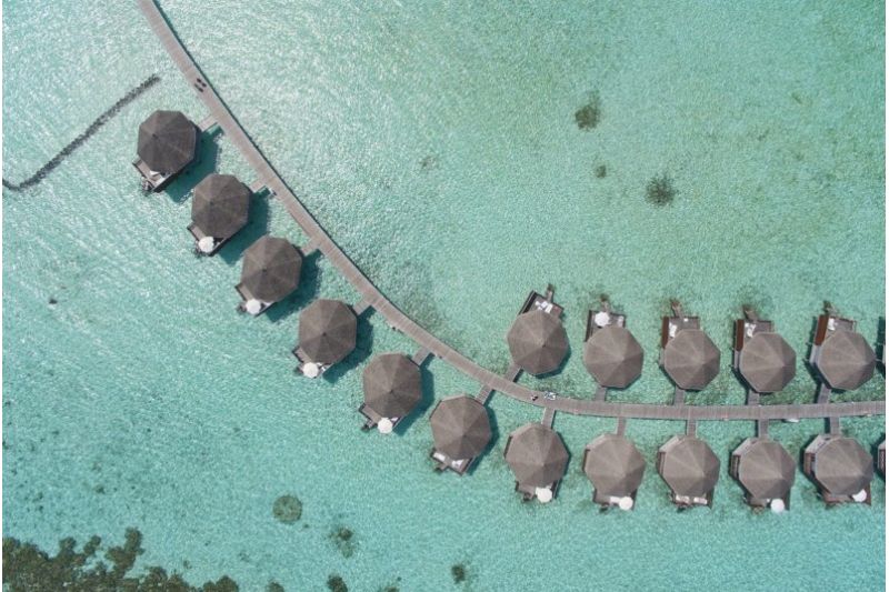 SAFARI ISLAND RESORT