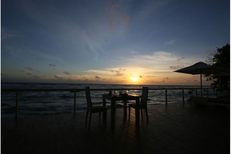 CORAL ROCK BY BANSEI