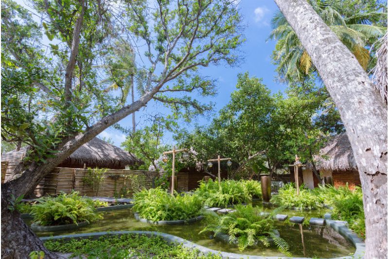 MALAHINI KUDA BANDOS