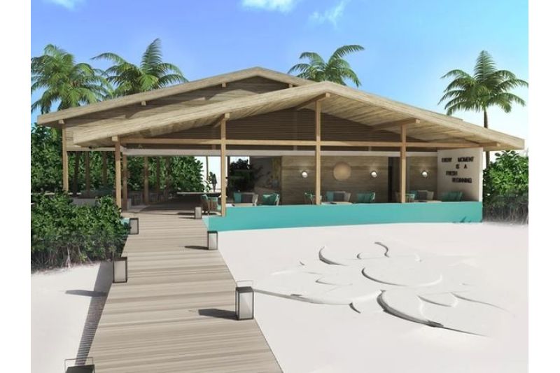 JOY ISLAND THE COCOON COLLECTION