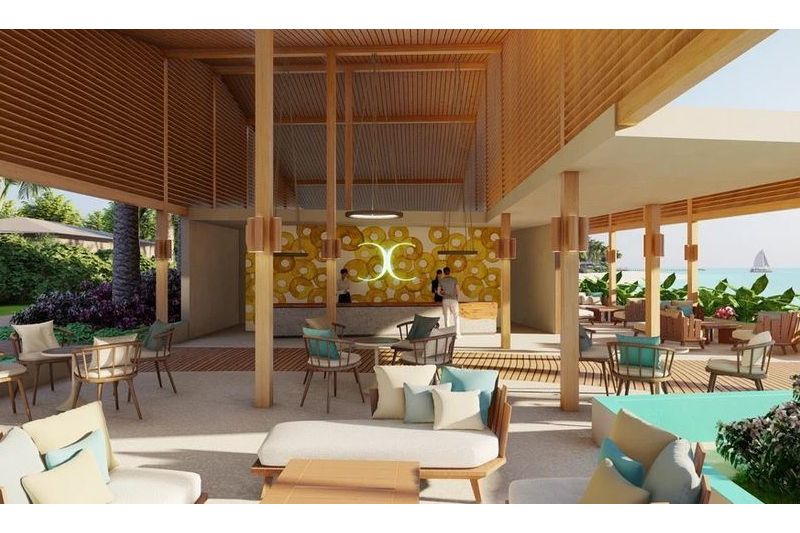 JOY ISLAND THE COCOON COLLECTION