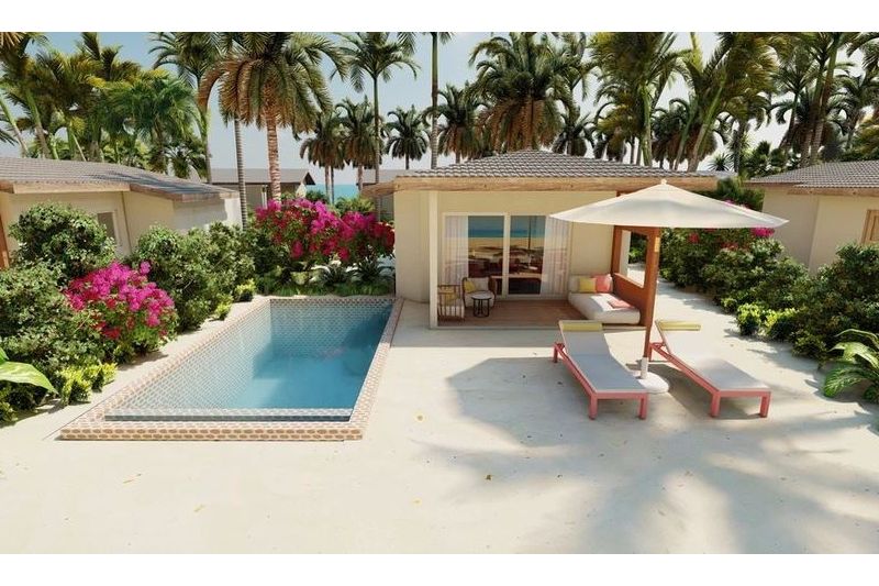 JOY ISLAND THE COCOON COLLECTION