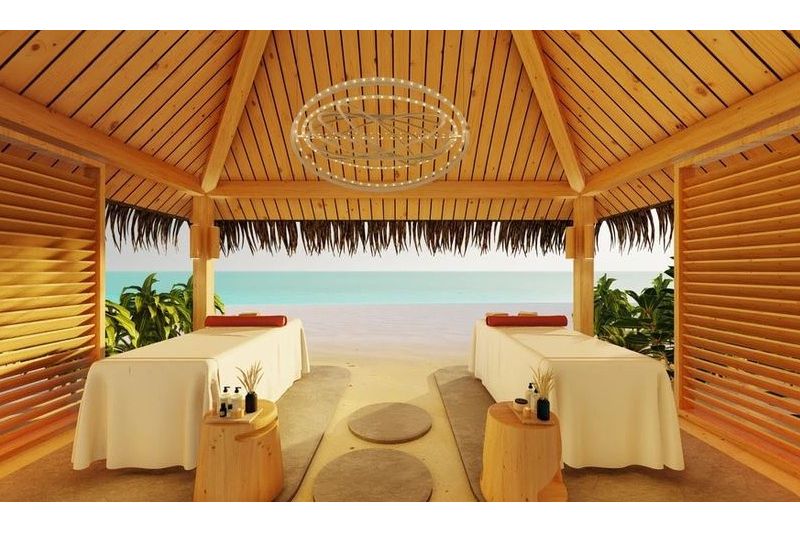 JOY ISLAND THE COCOON COLLECTION