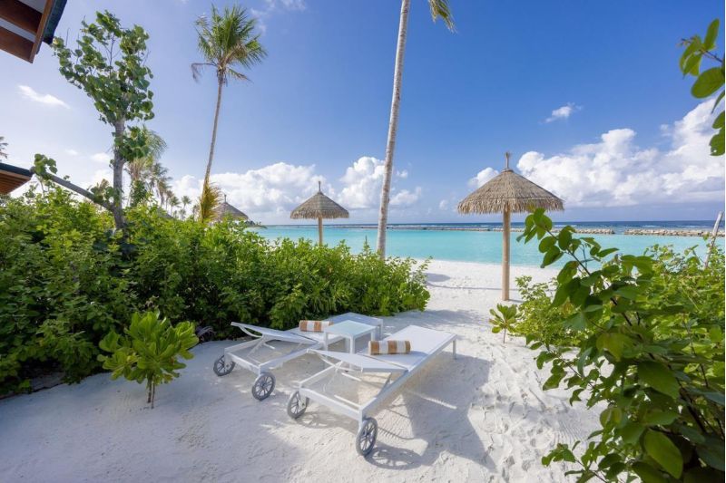 JOY ISLAND THE COCOON COLLECTION