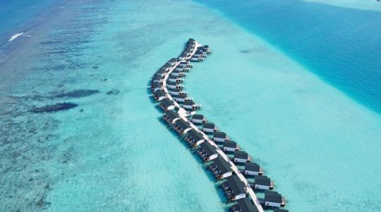 JOY ISLAND THE COCOON COLLECTION