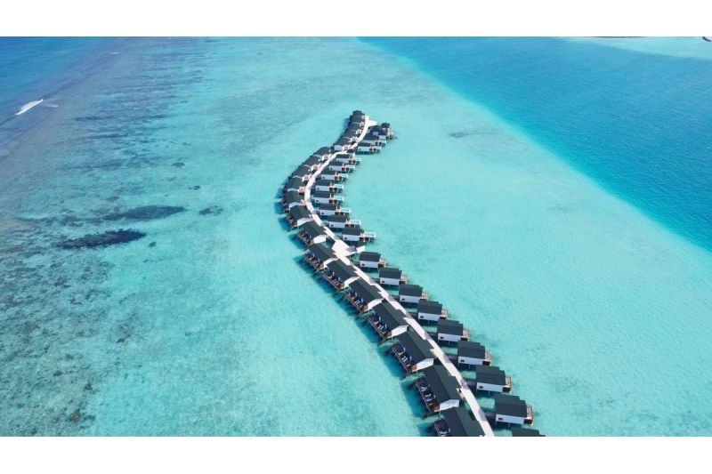 JOY ISLAND THE COCOON COLLECTION