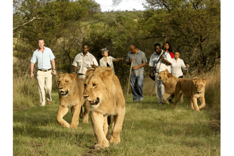 OCEAN V - ADULTS ONLY HOTEL