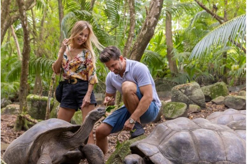 MANGO HOUSE SEYCHELLES