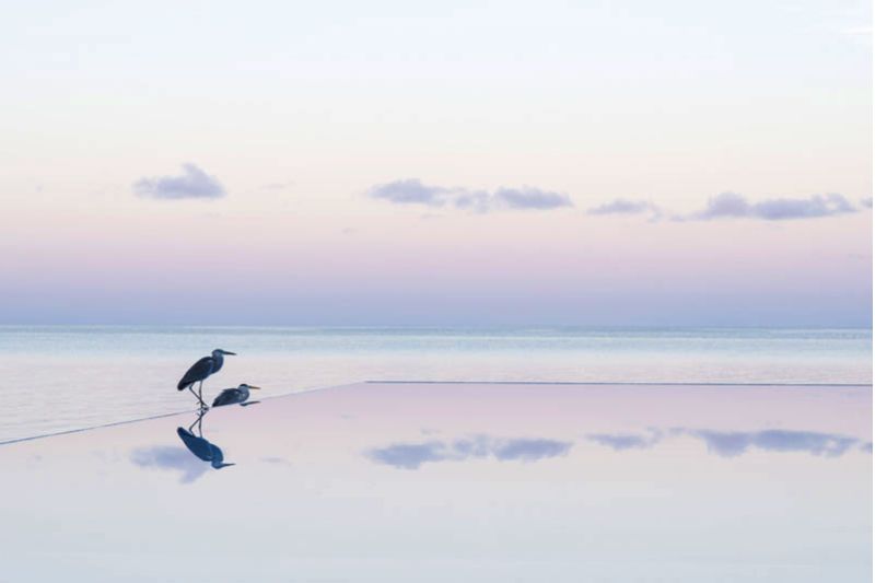 SUMMER ISLAND MALDIVES