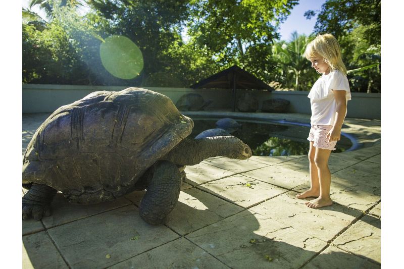 MARITIM RESORT & SPA