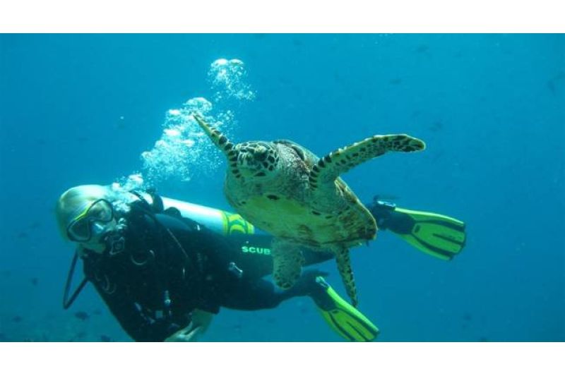 ADAARAN SELECT MEEDHUPPARU