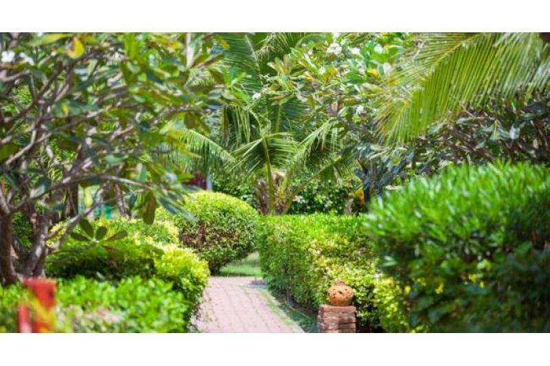 PHI PHI ERAWAN PALMS RESORT