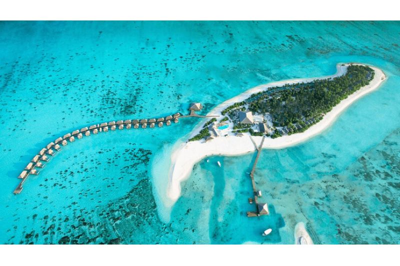 COCOON MALDIVES
