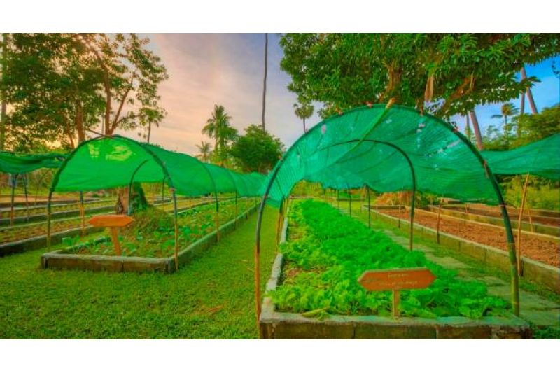 FAIR HOUSE VILLAS & SPA