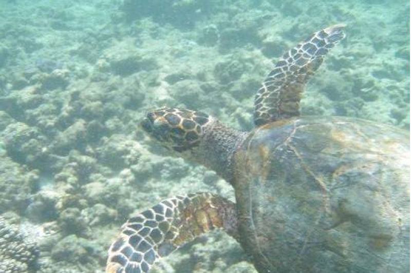 RADISSON BLU POSTE LAFAYETTE RESORT & SPA - ADULTS ONLY