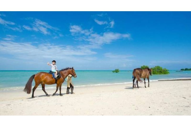 SEA CLIFF RESORT & SPA ZANZIBAR 