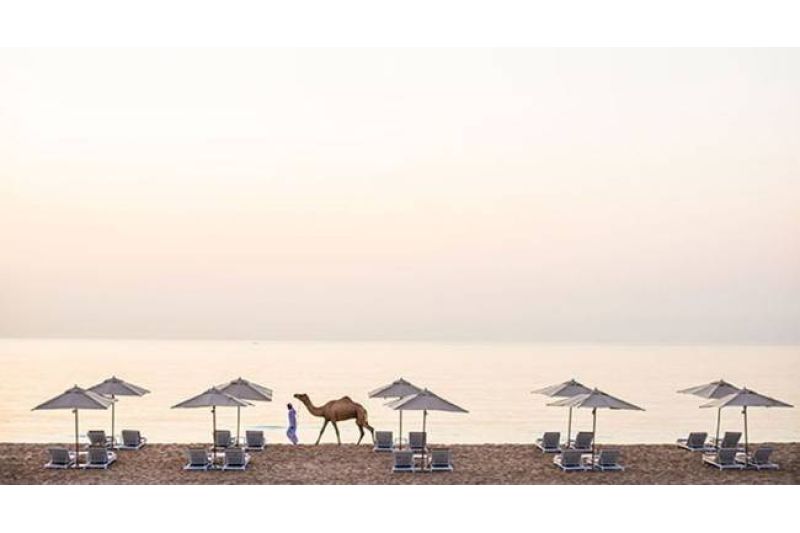 INTERCONTINENTAL FUJAIRAH RESORT 