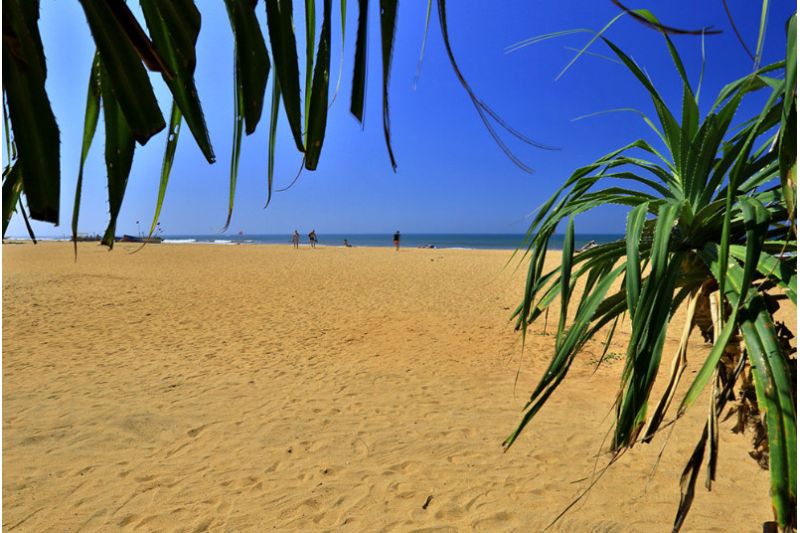 HIBISCUS BEACH HOTEL