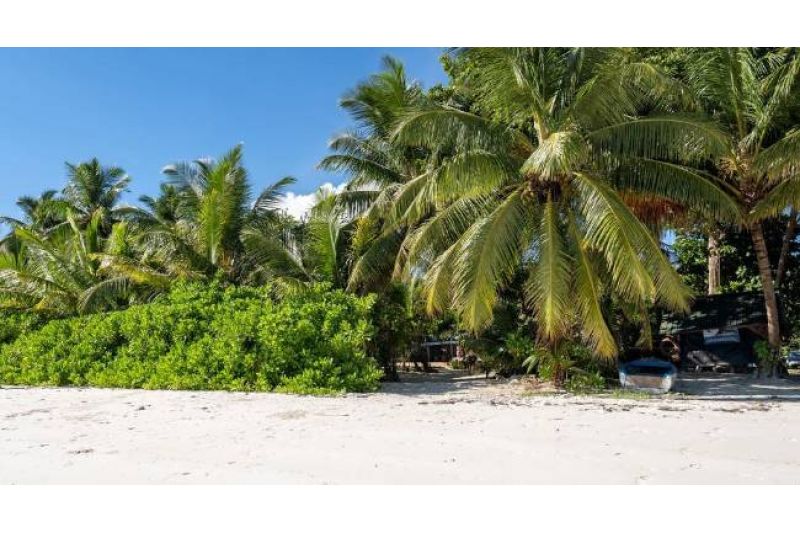 BLISS PRASLIN SEYCHELLES & BEACH HOUSE