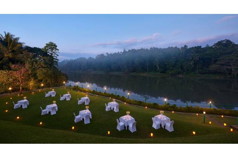 HIKKA TRANZ BY CINNAMON