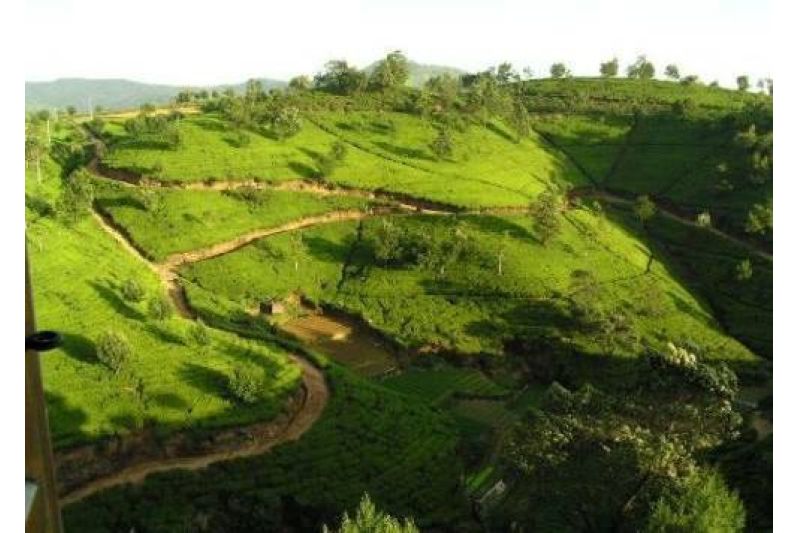 POZNÁVACÍ ZÁJEZD - OKRUH SRÍ LANKOU 5 NOCÍ + POBYT 3 NOCI + POBYT MALEDIVY 4 NOCI