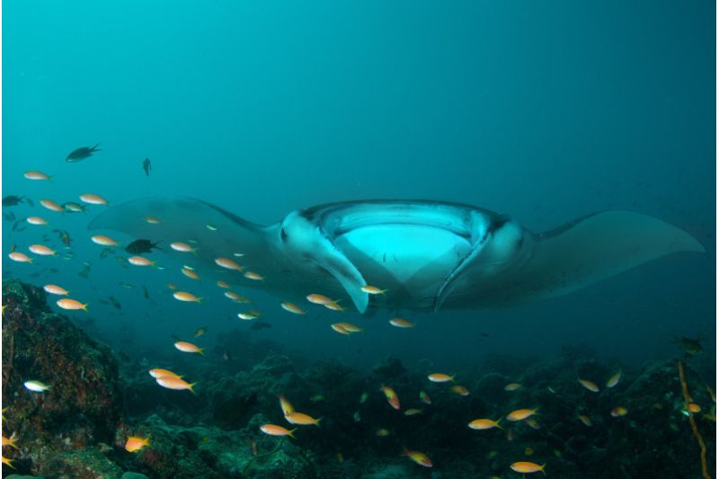 DIAMONDS THUDUFUSHI MALDIVES