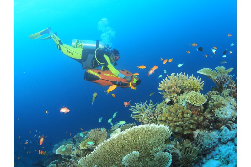 YOU & ME BY COCOON MALDIVES - ADULTS ONLY