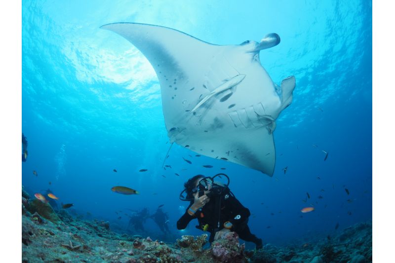 YOU & ME BY COCOON MALDIVES - ADULTS ONLY